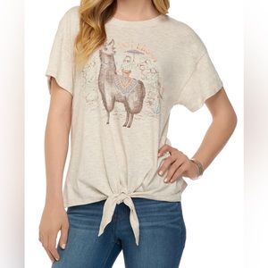 🦙🌵Democracy Hot Llama Tie Top 🌵🦙